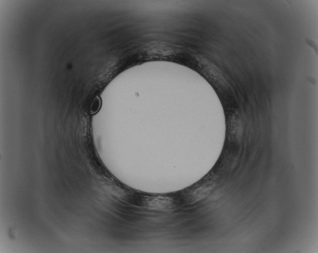 X0000098100463200804251408