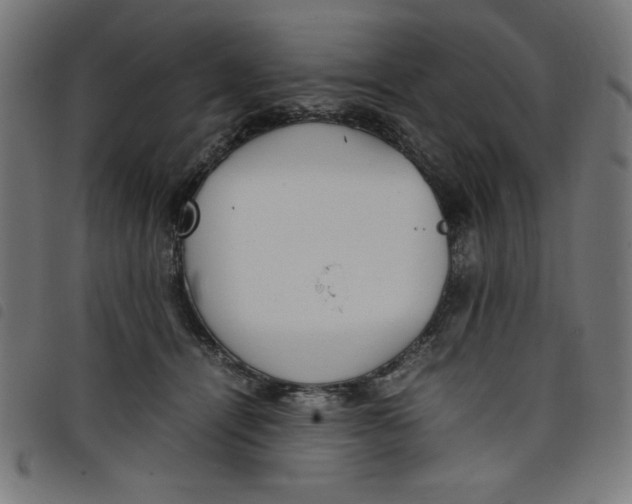 X0000098100464200804251408