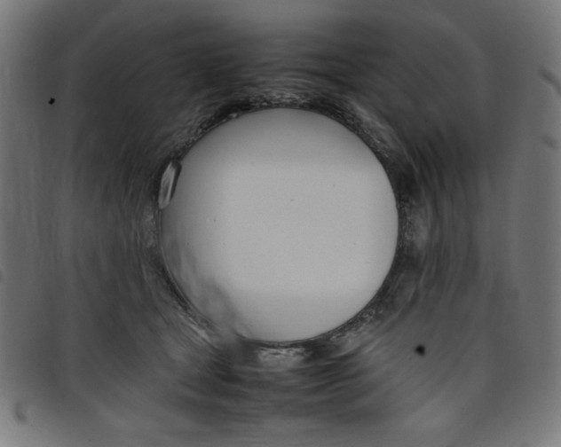 X0000098100465200804251408