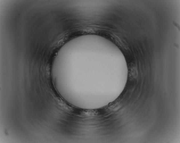 X0000098100466200804251408