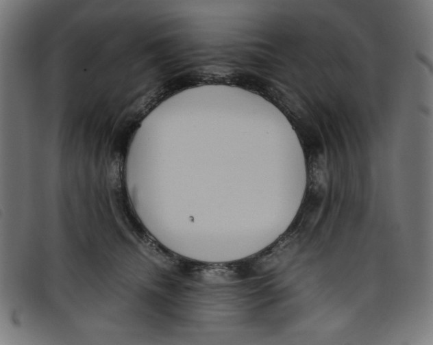 X0000098100468200804251408
