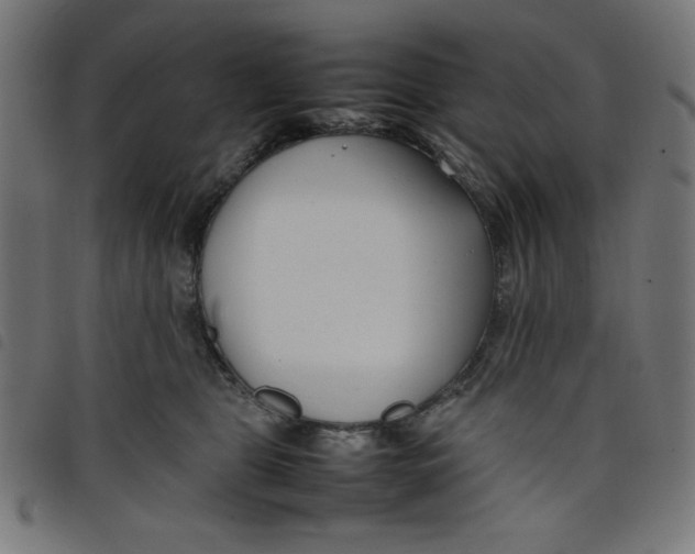 X0000098100469200804251408
