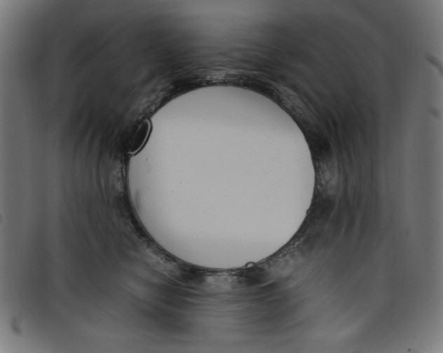 X0000098100470200804251408
