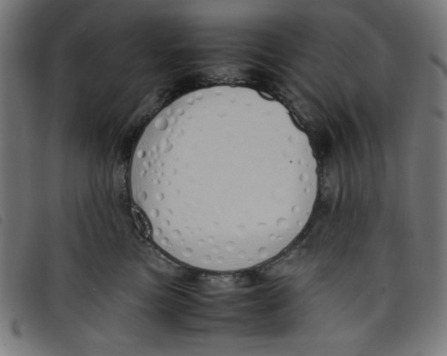X0000098100473200804251409