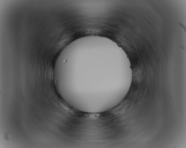 X0000098100474200804251409
