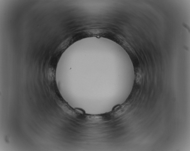X0000098100476200804251409