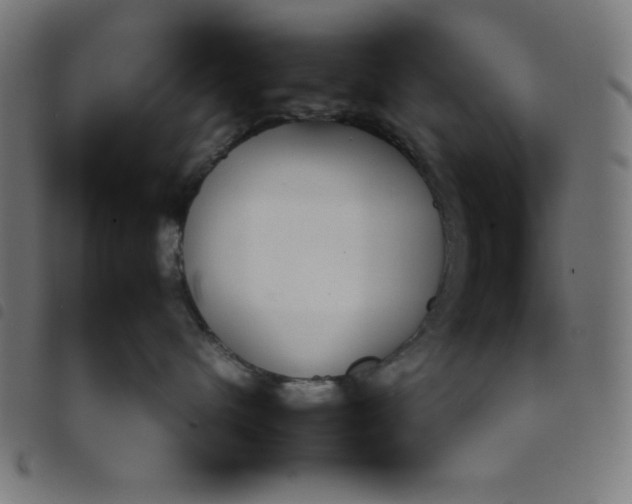 X0000098100480200804251409