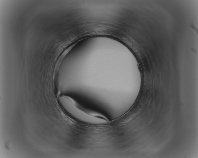 X0000098100481200804251408