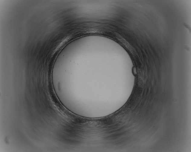 X0000098100482200804251408