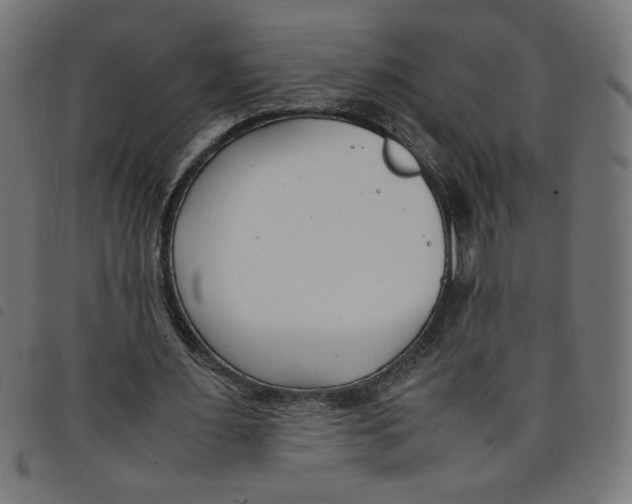 X0000098100483200804251408