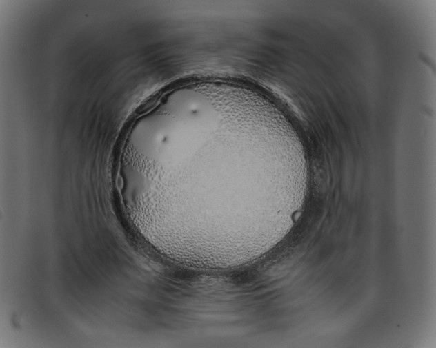 X0000098100487200804251408