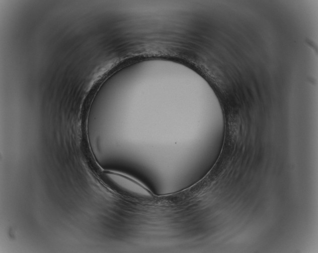 X0000098100488200804251408