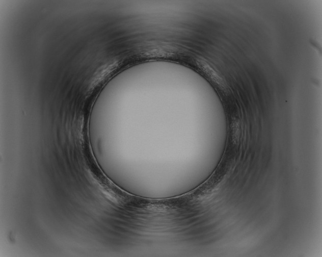 X0000098100490200804251408