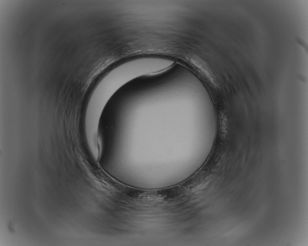X0000098100491200804251408