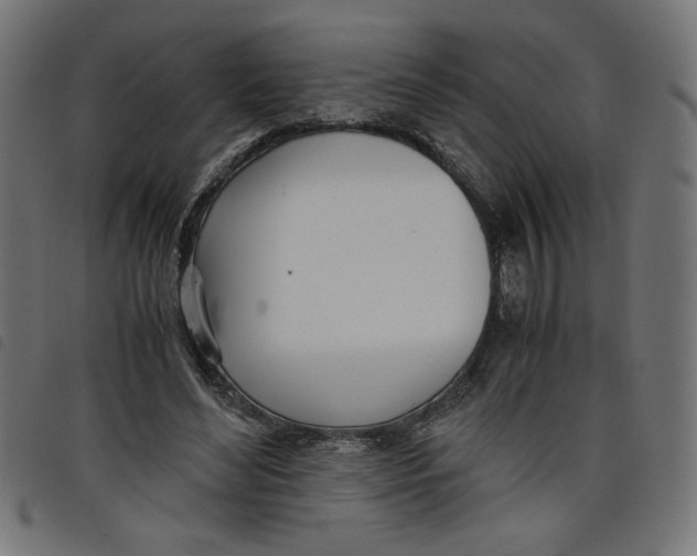 X0000098100492200804251408