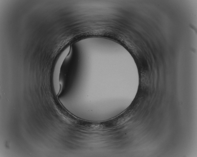 X0000098100493200804251408