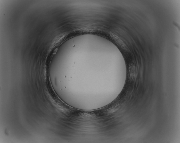 X0000098100494200804251408