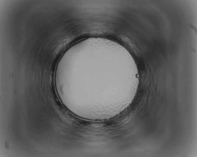 X0000098100495200804251408