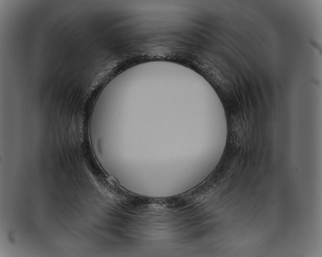 X0000098100496200804251408