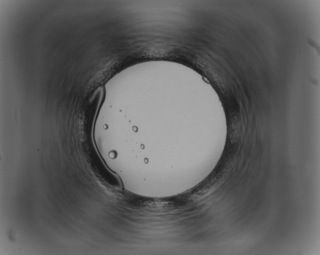 X0000098100497200804251408