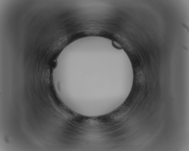 X0000098100498200804251408