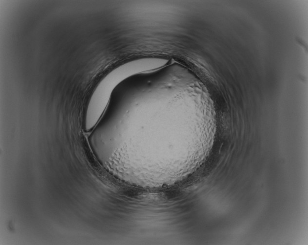 X0000098100499200804251408