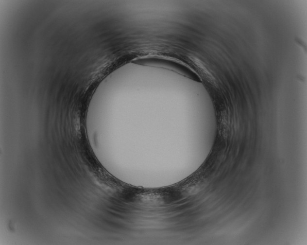 X0000098100500200804251408