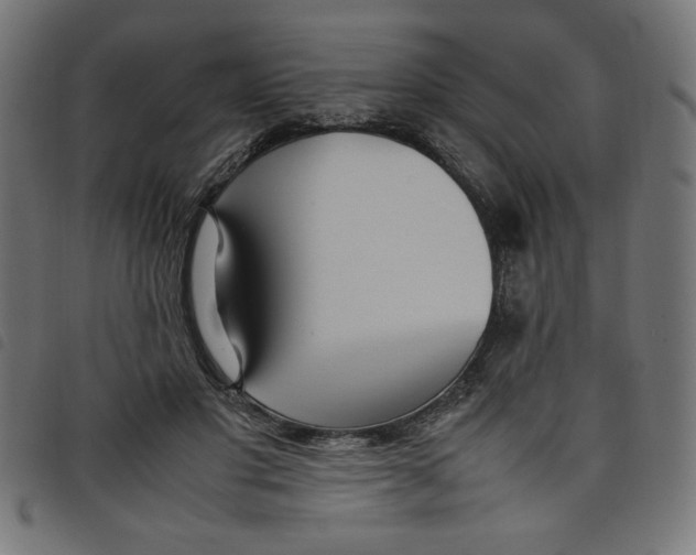 X0000098100501200804251408