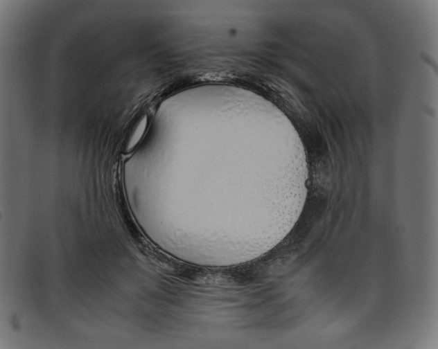 X0000098100503200804251408