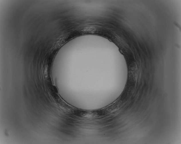 X0000098100504200804251408
