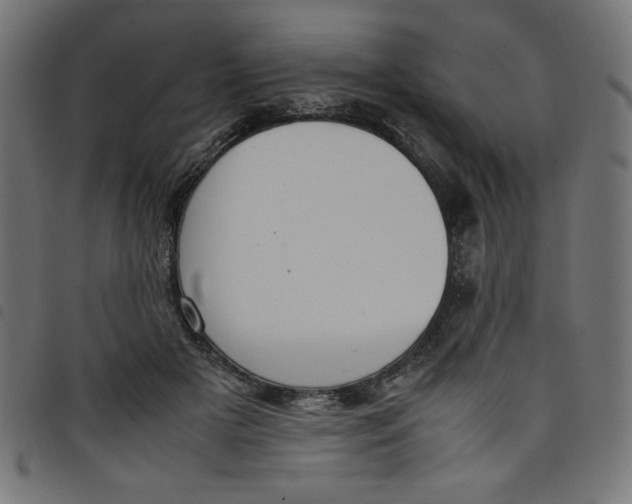 X0000098100505200804251408