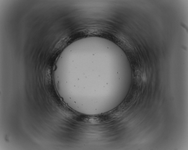 X0000098100506200804251408