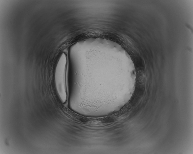 X0000098100507200804251408
