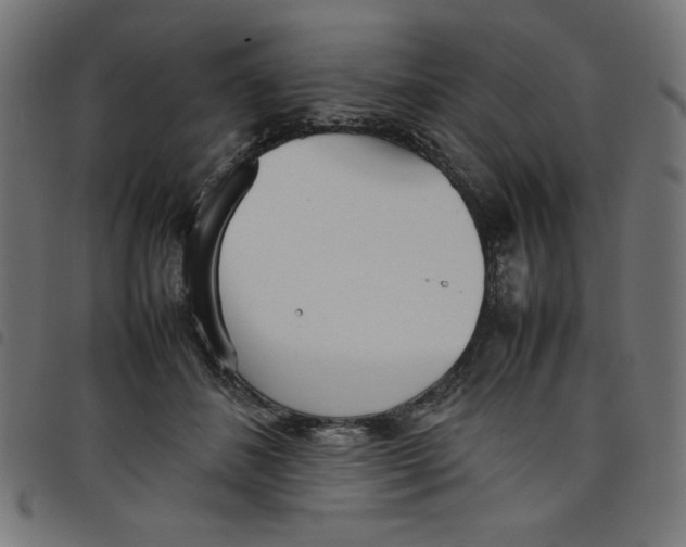 X0000098100508200804251408