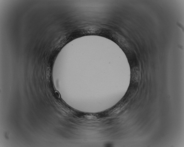 X0000098100509200804251408