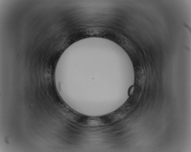 X0000098100510200804251407