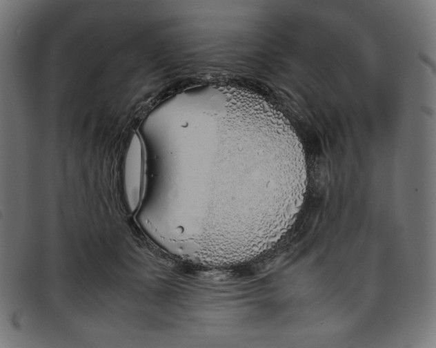X0000098100511200804251407