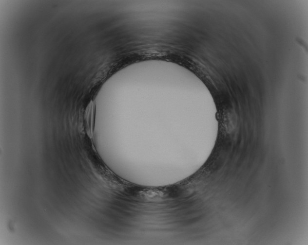 X0000098100512200804251407