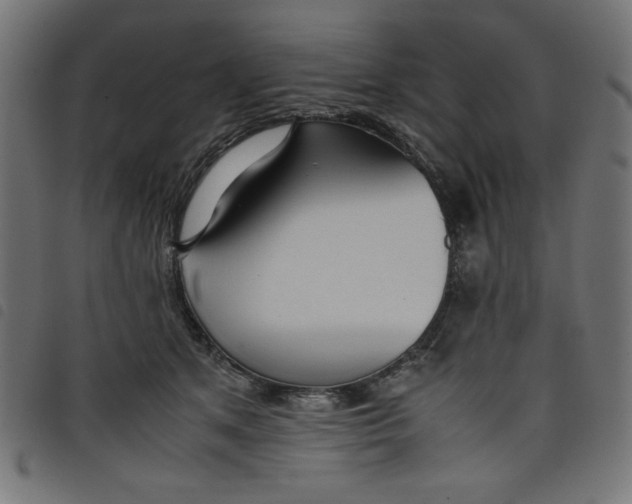 X0000098100513200804251407