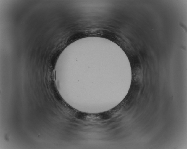X0000098100515200804251407