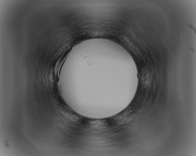 X0000098100516200804251407