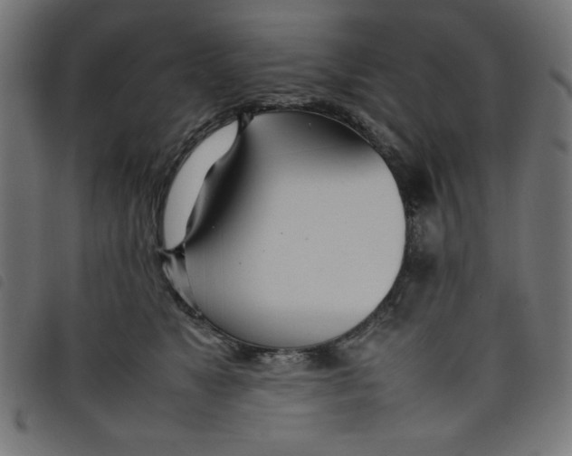 X0000098100517200804251407
