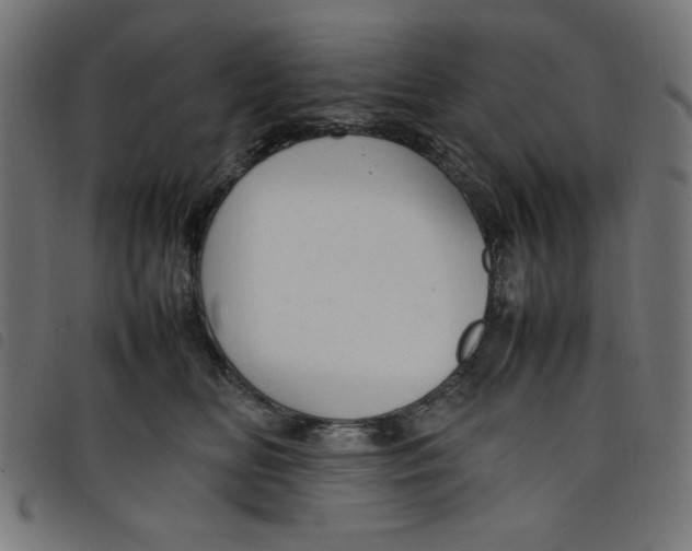 X0000098100518200804251407
