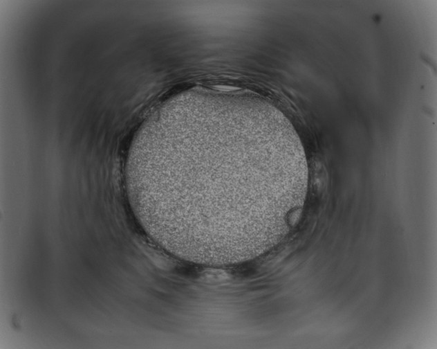 X0000098100519200804251407