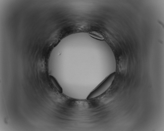 X0000098100520200804251407