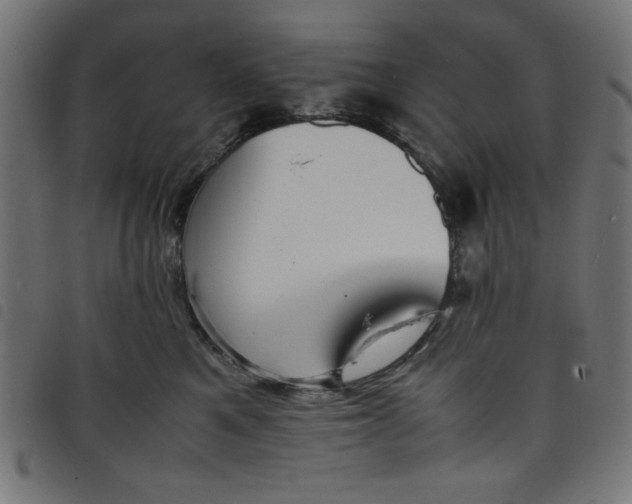 X0000098100521200804251407