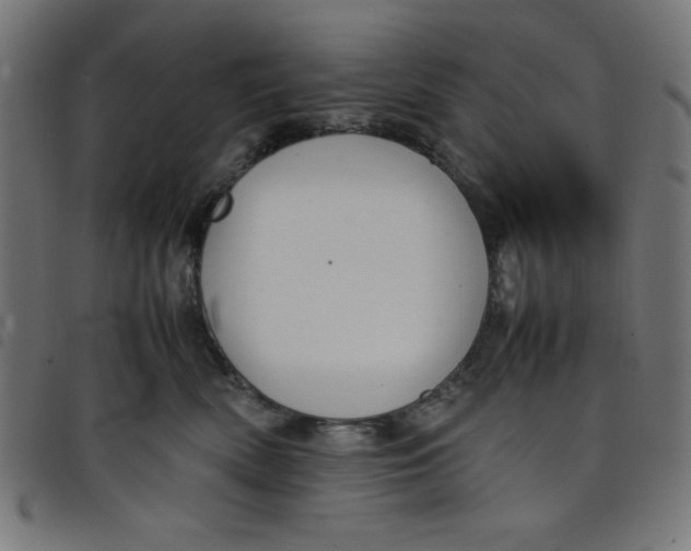 X0000098100522200804251407