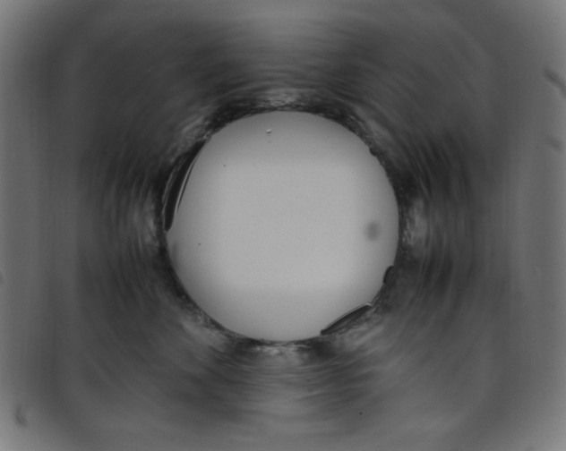 X0000098100524200804251407