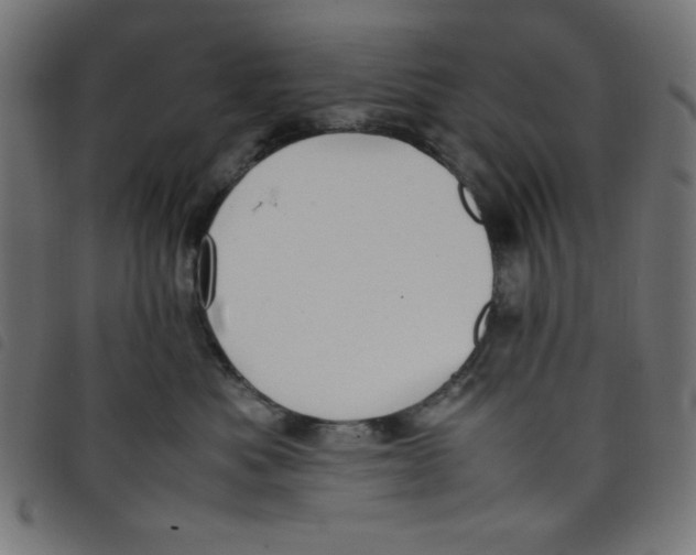 X0000098100525200804251407
