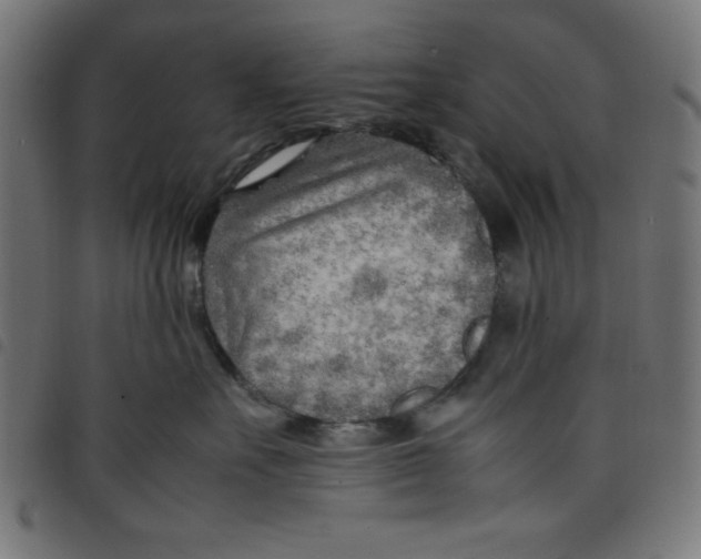 X0000098100527200804251407